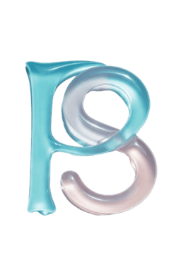 Party Snap logo